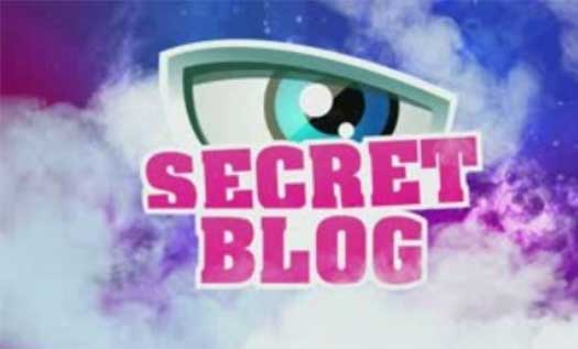 узнать секрет блога